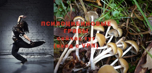 стаф Горняк