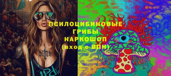 стаф Горняк