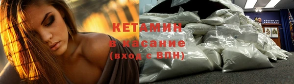 стаф Горняк