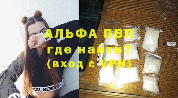 стаф Горняк