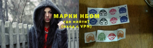 стаф Горняк