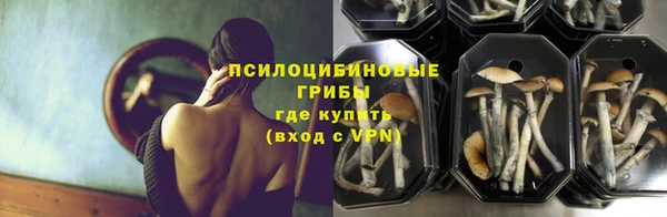 прущие крисы Горнозаводск
