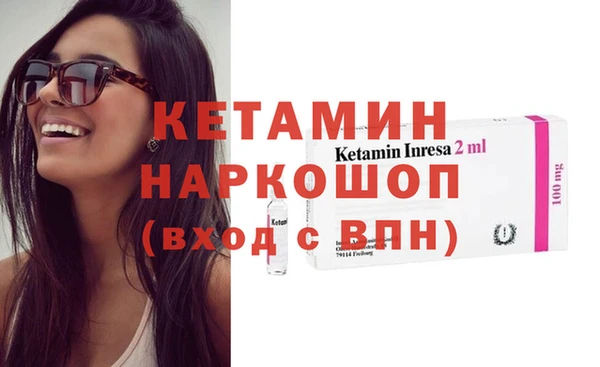 стаф Горняк