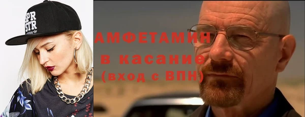 стаф Горняк