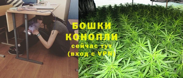 стаф Горняк