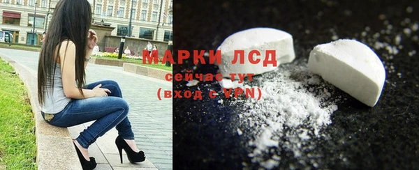 стаф Горняк