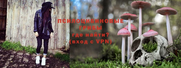 стаф Горняк