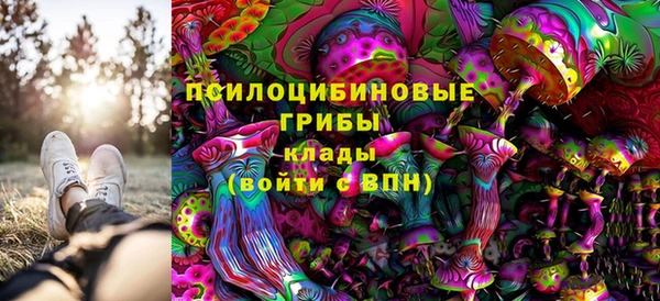 первитин Горно-Алтайск
