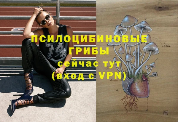 прущие крисы Горнозаводск
